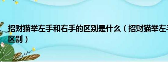 招财猫举左手和右手的区别是什么（招财猫举左手和右手的区别）