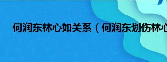 何润东林心如关系（何润东划伤林心如）