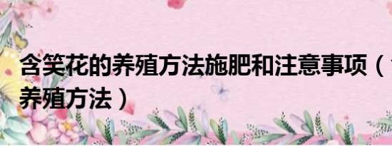 含笑花的养殖方法施肥和注意事项（含笑花的养殖方法）