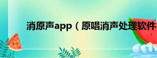 消原声app（原唱消声处理软件）