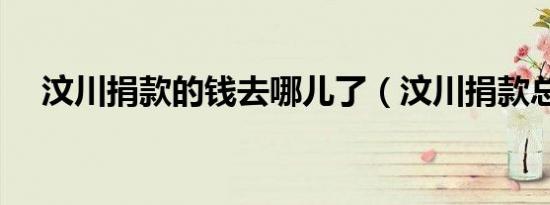 汶川捐款的钱去哪儿了（汶川捐款总额）