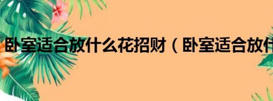 卧室适合放什么花招财（卧室适合放什么花）