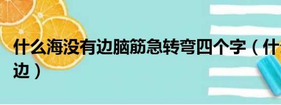 什么海没有边脑筋急转弯四个字（什么海没有边）