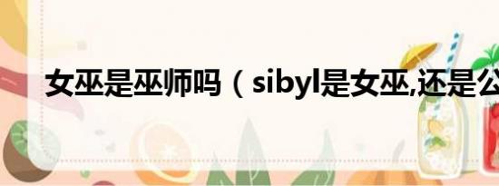 女巫是巫师吗（sibyl是女巫,还是公主）