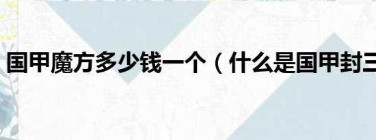 国甲魔方多少钱一个（什么是国甲封三魔方）