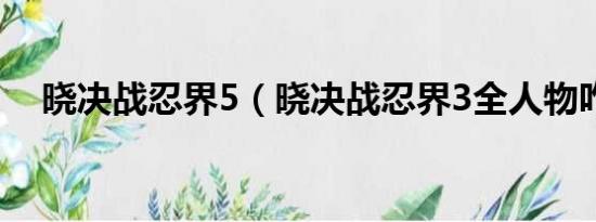 晓决战忍界5（晓决战忍界3全人物咋整）