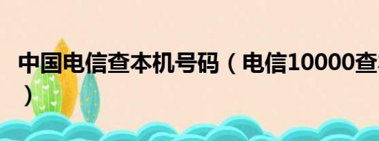 中国电信查本机号码（电信10000查本机号码）