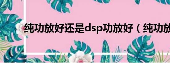 纯功放好还是dsp功放好（纯功放）