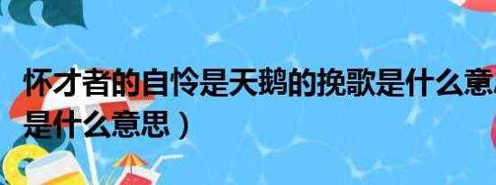 怀才者的自怜是天鹅的挽歌是什么意思（挽歌是什么意思）