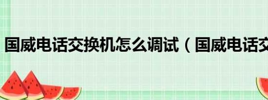 国威电话交换机怎么调试（国威电话交换机）