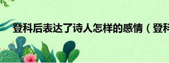 登科后表达了诗人怎样的感情（登科后）