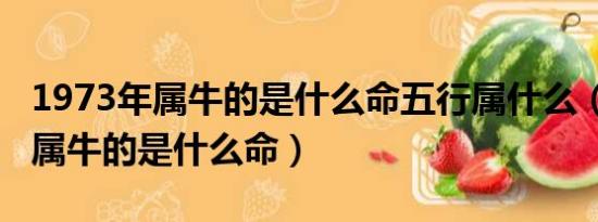 1973年属牛的是什么命五行属什么（1973年属牛的是什么命）