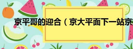 京平哥的迎合（京大平面下一站京投）