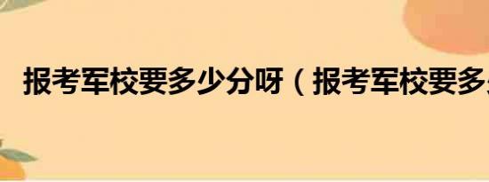 报考军校要多少分呀（报考军校要多少分）