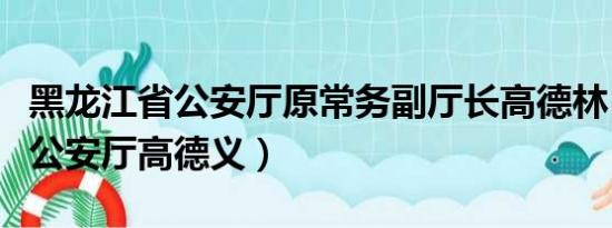 黑龙江省公安厅原常务副厅长高德林（黑龙江公安厅高德义）