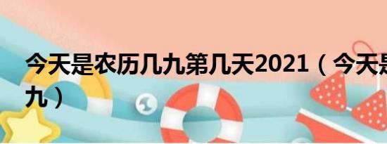 今天是农历几九第几天2021（今天是农历几九）