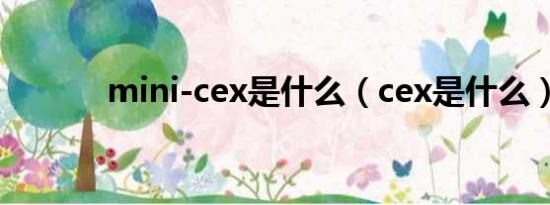 mini-cex是什么（cex是什么）