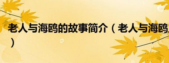 老人与海鸥的故事简介（老人与海鸥主要内容）