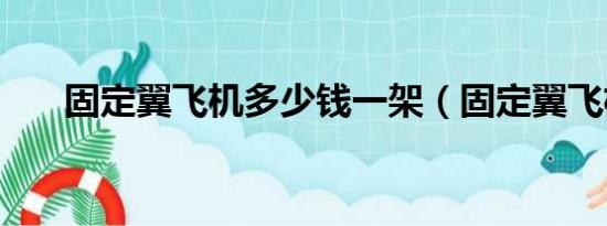 固定翼飞机多少钱一架（固定翼飞机）