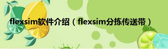flexsim软件介绍（flexsim分拣传送带）