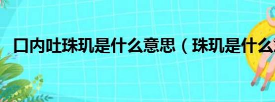 口内吐珠玑是什么意思（珠玑是什么意思）