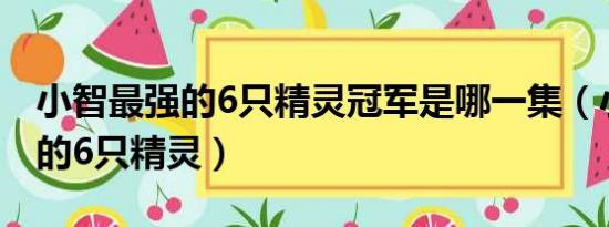 小智最强的6只精灵冠军是哪一集（小智最强的6只精灵）