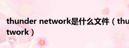 thunder network是什么文件（thunder network）