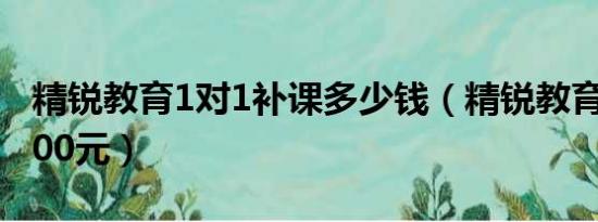 精锐教育1对1补课多少钱（精锐教育一对一700元）