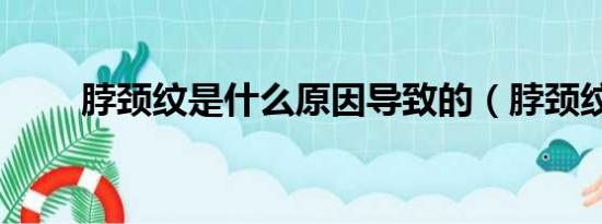 脖颈纹是什么原因导致的（脖颈纹）