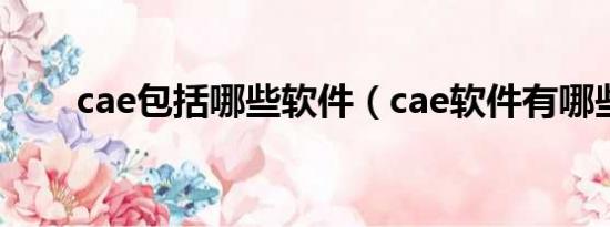 cae包括哪些软件（cae软件有哪些）