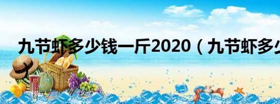 九节虾多少钱一斤2020（九节虾多少钱一斤）