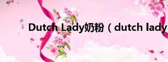 Dutch Lady奶粉（dutch lady）