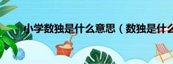 小学数独是什么意思（数独是什么）