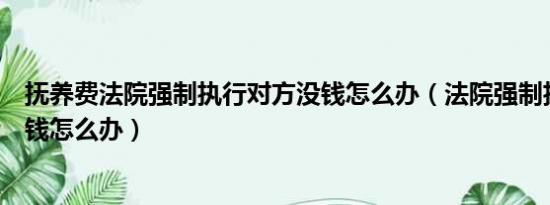 抚养费法院强制执行对方没钱怎么办（法院强制执行对方没钱怎么办）