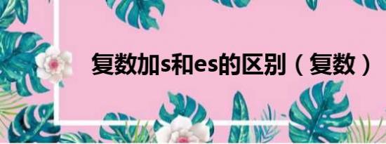 复数加s和es的区别（复数）