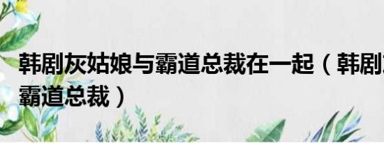 韩剧灰姑娘与霸道总裁在一起（韩剧灰姑娘与霸道总裁）