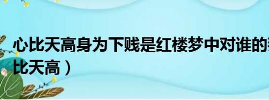 心比天高身为下贱是红楼梦中对谁的判词（心比天高）