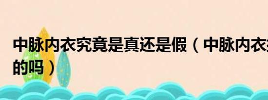 中脉内衣究竟是真还是假（中脉内衣排毒是真的吗）