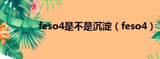 feso4是不是沉淀（feso4）