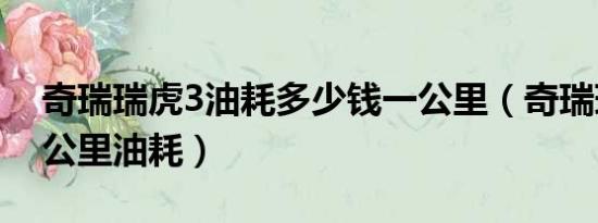 奇瑞瑞虎3油耗多少钱一公里（奇瑞瑞虎3百公里油耗）