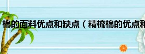 棉的面料优点和缺点（精梳棉的优点和缺点）