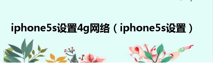 iphone5s设置4g网络（iphone5s设置）