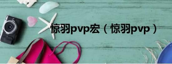 惊羽pvp宏（惊羽pvp）