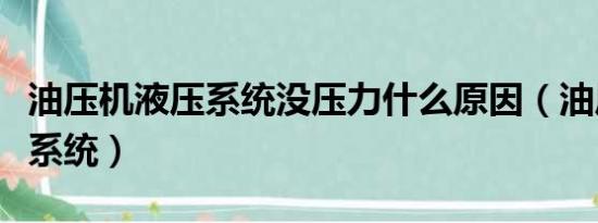 油压机液压系统没压力什么原因（油压机液压系统）