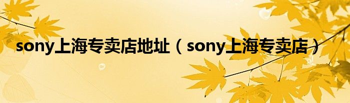 sony上海专卖店地址（sony上海专卖店）