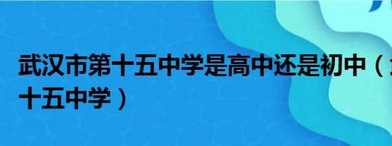 武汉市第十五中学是高中还是初中（武汉市第十五中学）