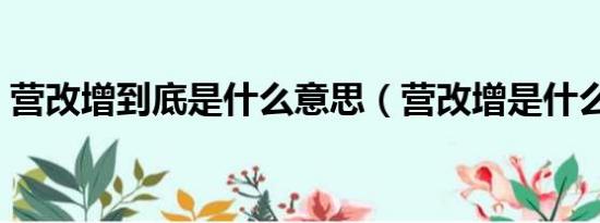 营改增到底是什么意思（营改增是什么意思）