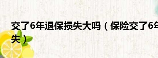 交了6年退保损失大吗（保险交了6年退保损失）