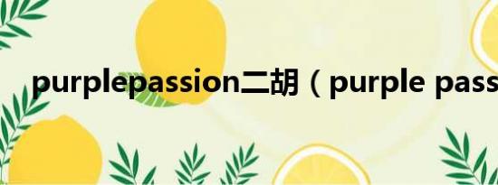 purplepassion二胡（purple passion）