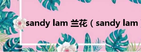 sandy lam 兰花（sandy lam）